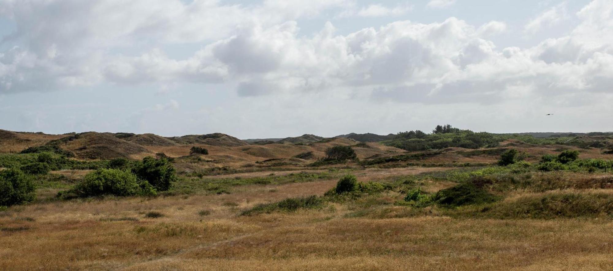 Vila Duenenblick 3 Am Pirolatal Langeoog Exteriér fotografie